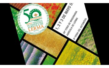 Cartel para el 50 Aniversario de la Feria de Lerma