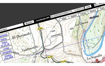 Visor de mapas online